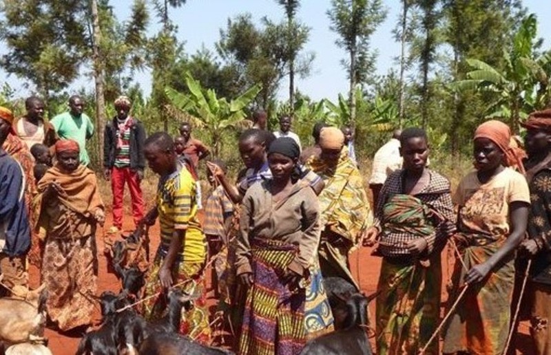 © Caritas Steiermark