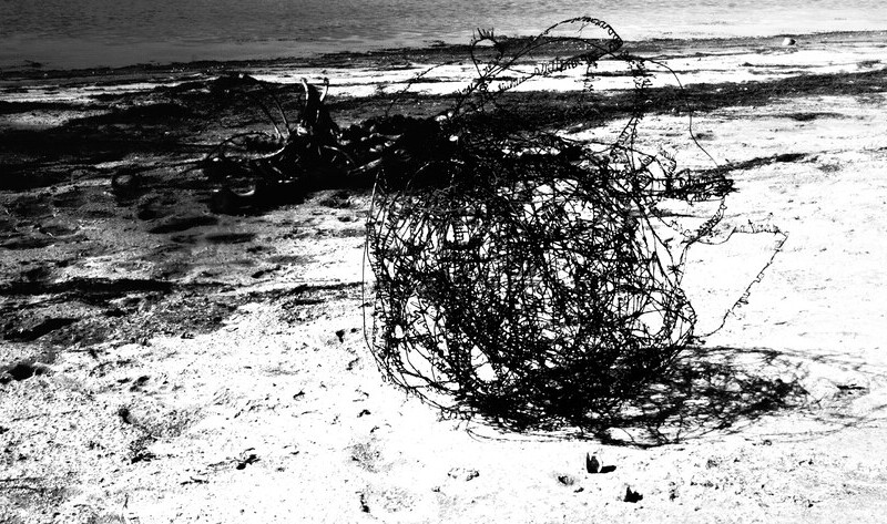 © Alberto Lomas