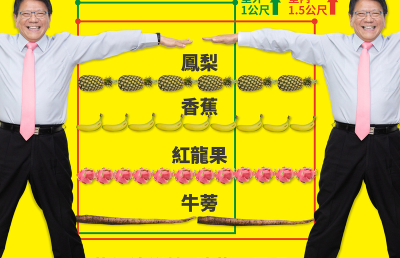 Pingtung County Government